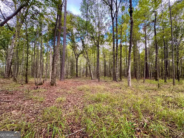 a fire hydrant in the middle of a field