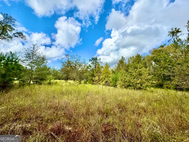 $74,999 | 0 Eugene Ward Road, Adrian, GA 31002