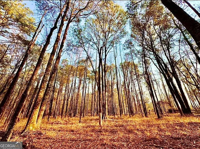 a view of outdoor space with deck