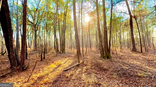 a view of backyard with large trees and wooden fence