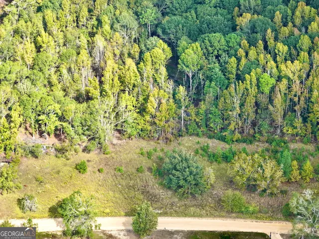 a view of a yard with a tree