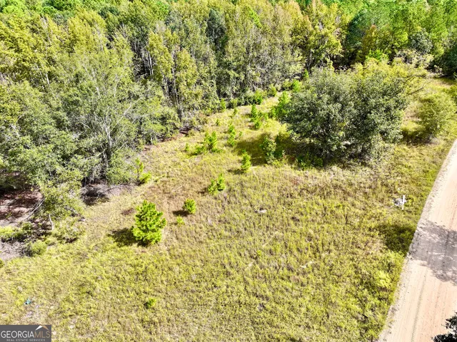 a view of a yard with a tree
