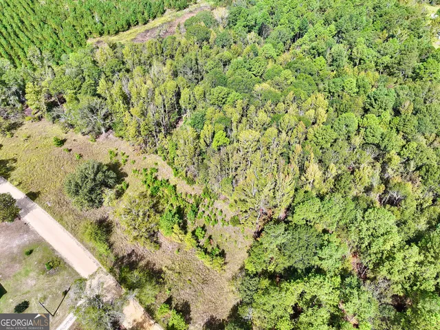 a view of a yard with a tree