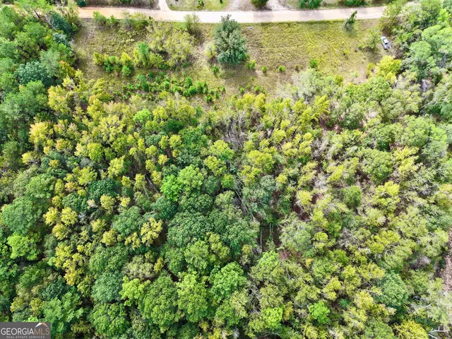 a view of a big yard with plants and large trees