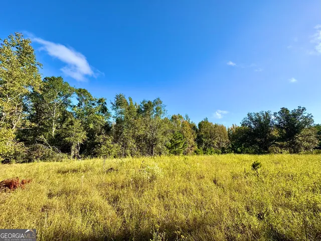 a view of yard with swimming pool and trees
