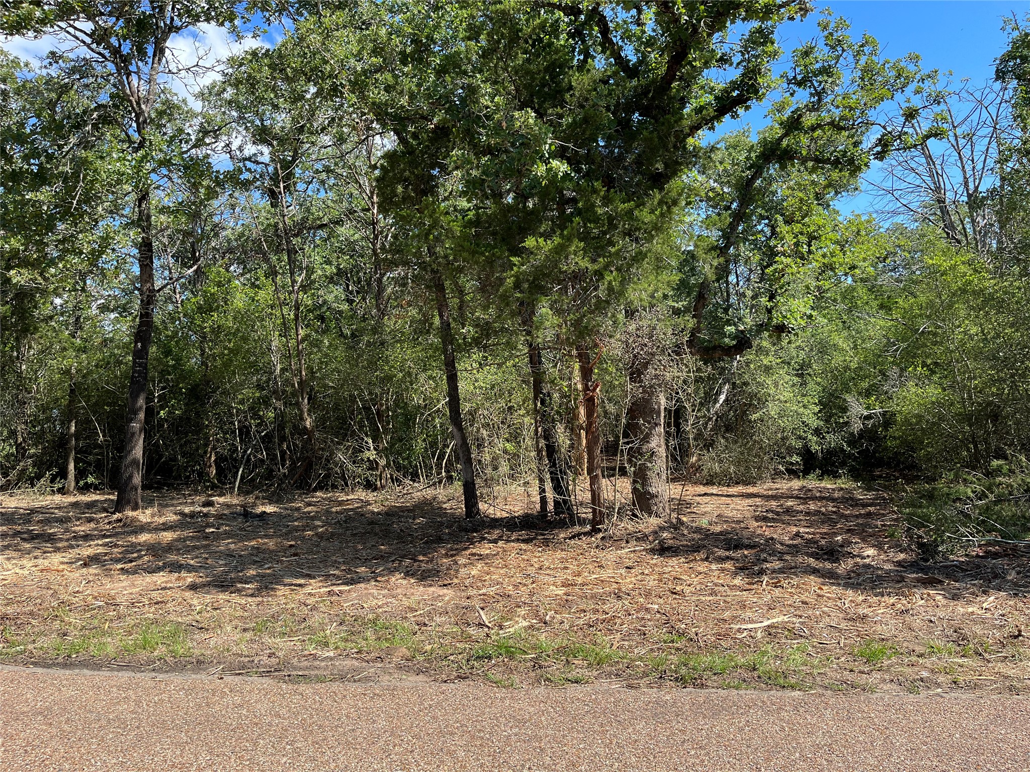 Tbd Tbd Old Lockhart Road West Point, TX 78963 - Photo 1 of 2 a view of a tree in the middle of a yard