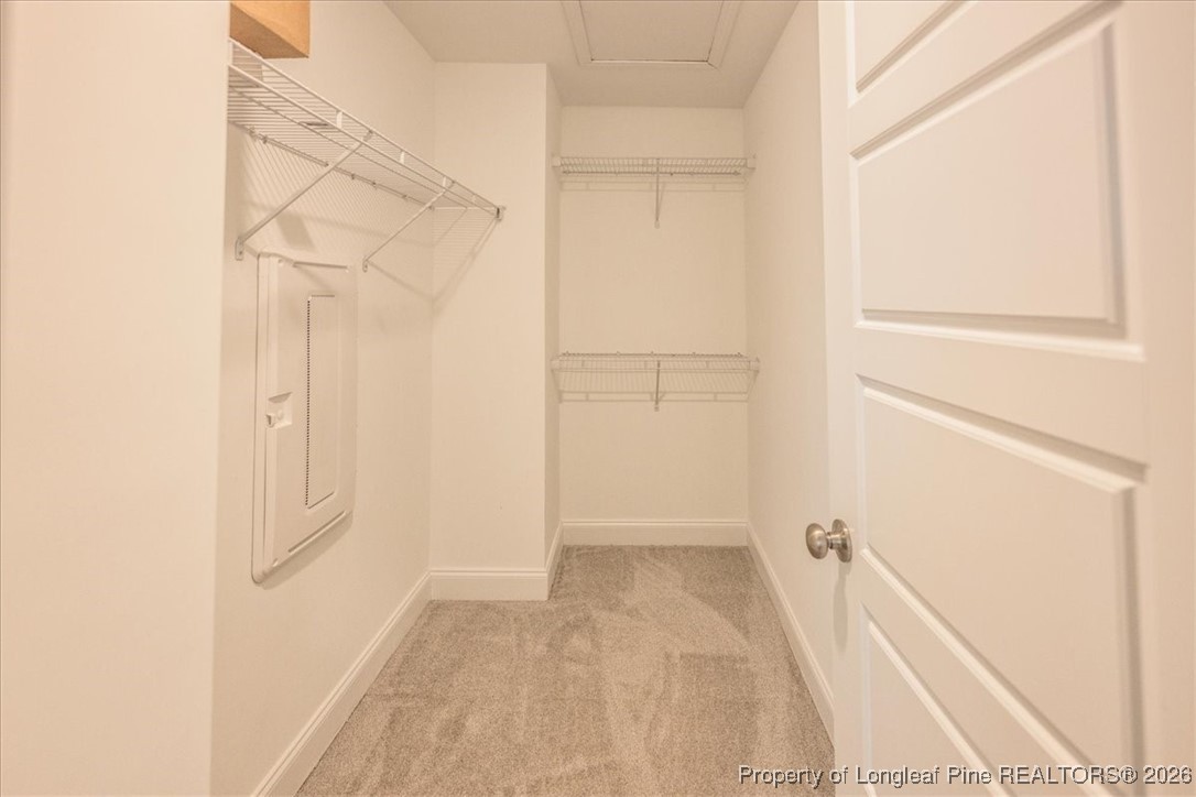 7680 Rufus Johnson Road Fayetteville, NC 28306 - Photo 22 of 39 Primary Dual Closets