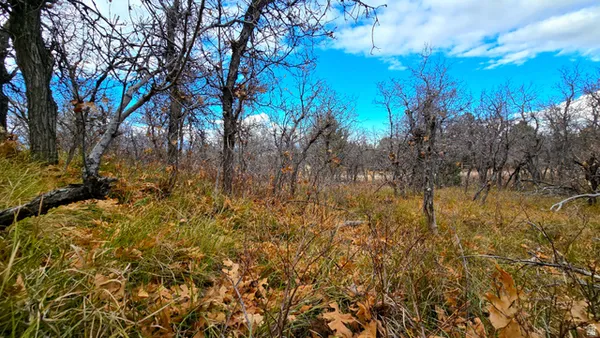 $85,000 | 138 Phase 3 Section A Mount, Unit 138, Mount Pleasant, UT 84647