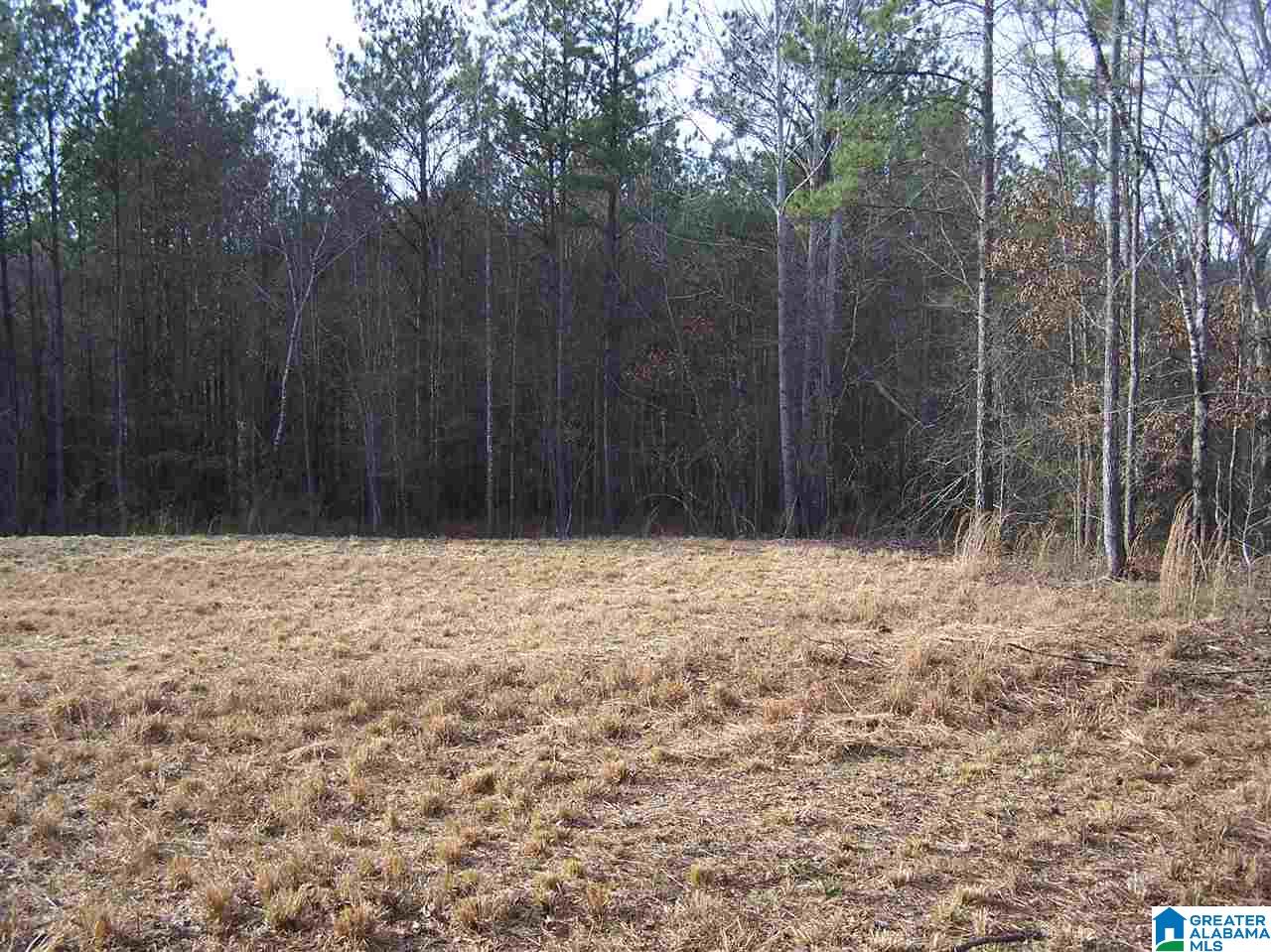 Alabama Avenue, Unit 4 Oneonta, AL 35121 - Photo 4 of 10