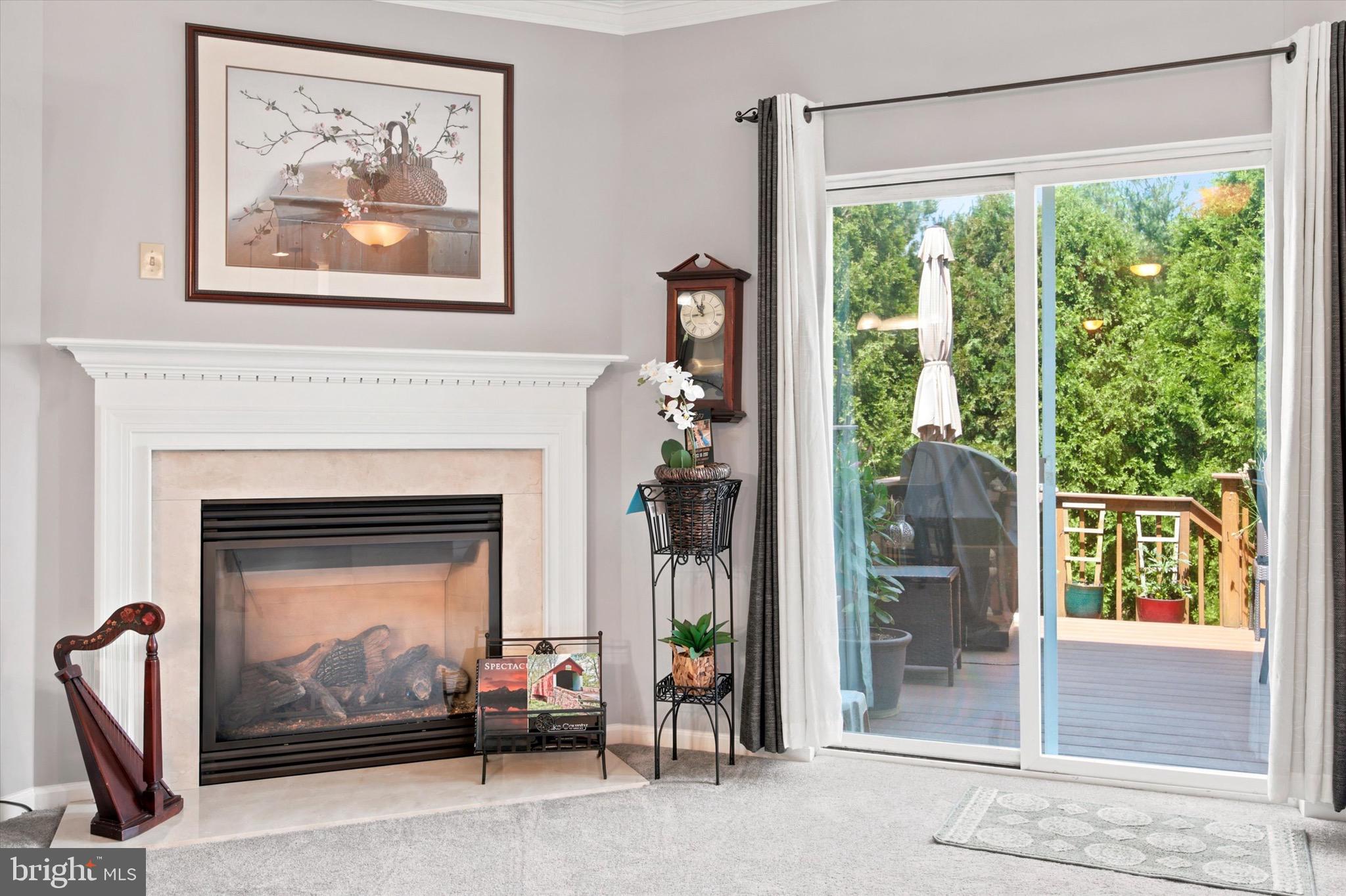 433 Buchanan Road Perkasie, PA 18944 - Photo 9 of 26 Gas fireplace