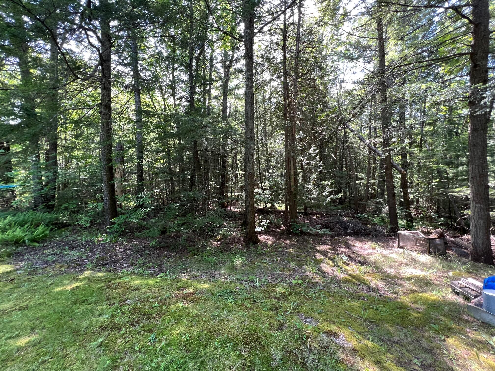 36 Beech Hill Pond Road Dedham, ME 04429 - Photo 22 of 35 22