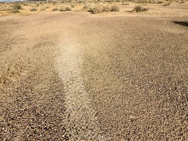 $19,998 | Undisclosed Address, Hinkley, CA 92347