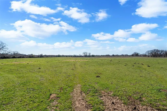 a view of yard with green space