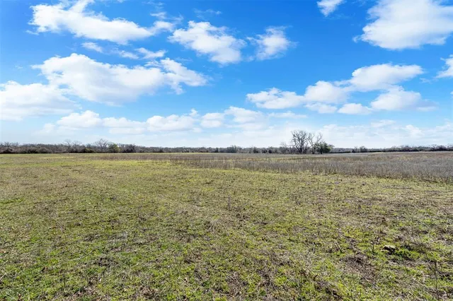 a view of a yard next to a building