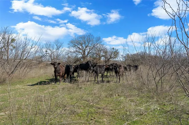 a view of a lake with outdoor space