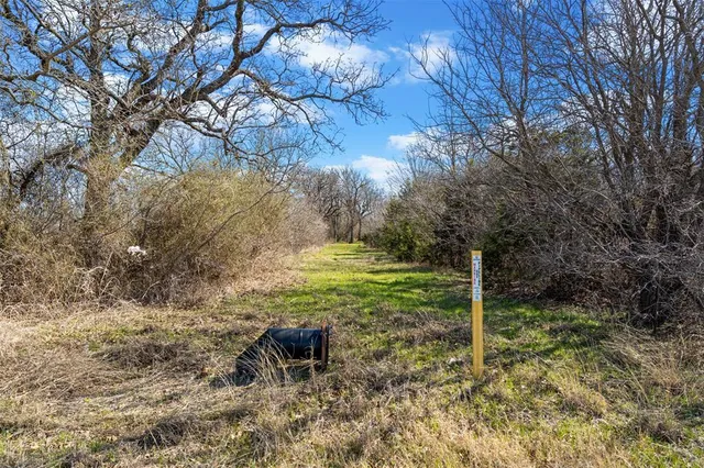 a view of backyard with wooden fence and a large tree
