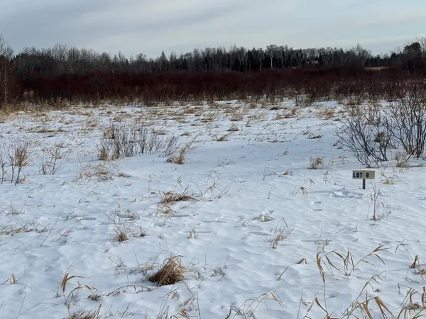 $17,500 | Lot 9 Irvine Avenue Northwest, Bemidji, MN 56601
