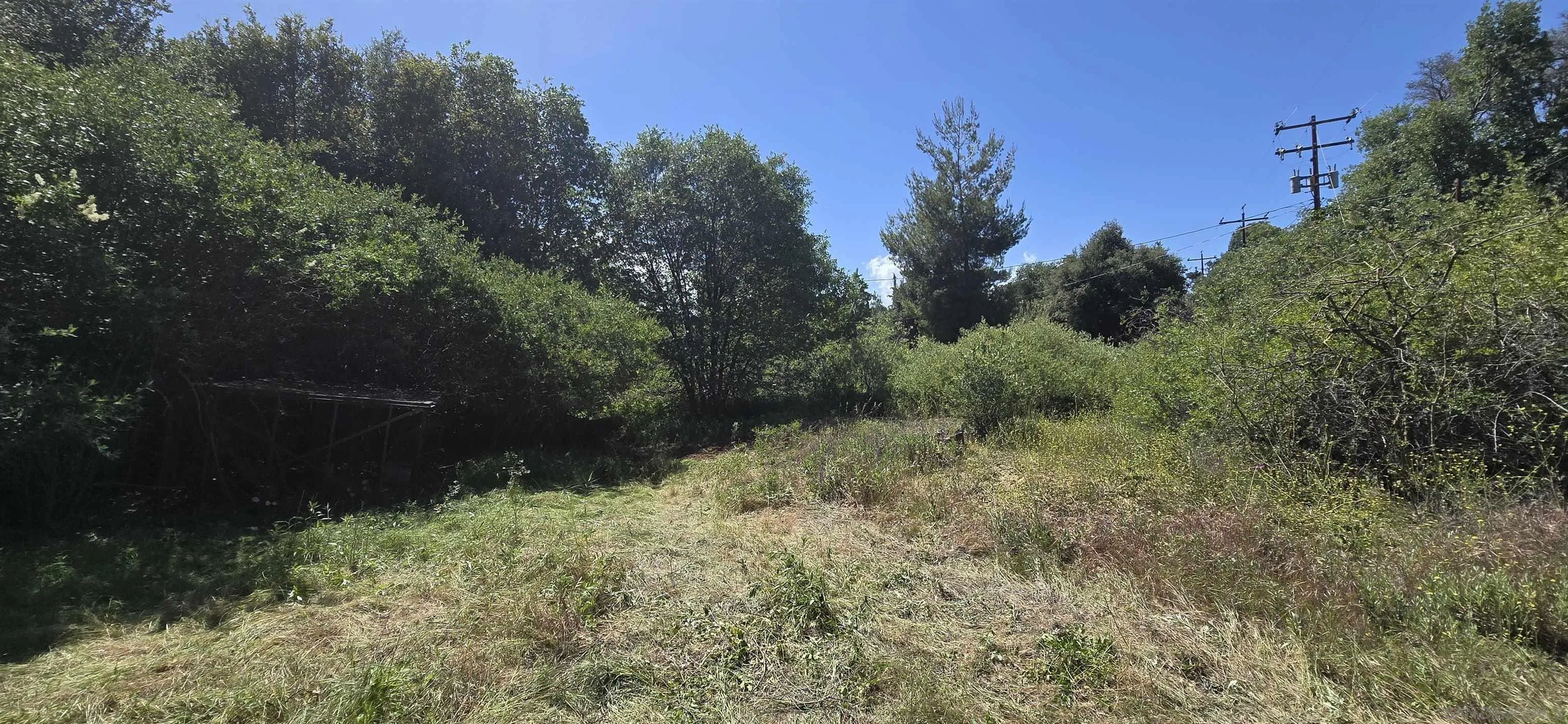 38 Creek Road, Unit 66 13 Julian, CA 92036 - Photo 3 of 16 a view of a yard