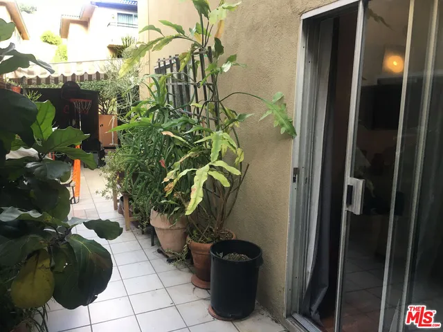 a view of a potted plant sitting in front of a door