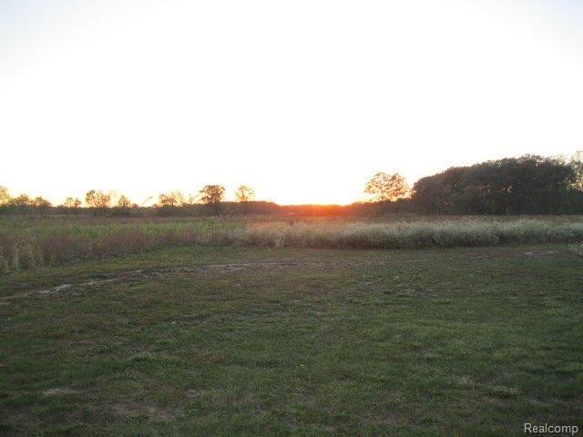 4388 Jackman Road Ida, MI 48140 - Photo 5 of 13 10 Acres!.JPG
