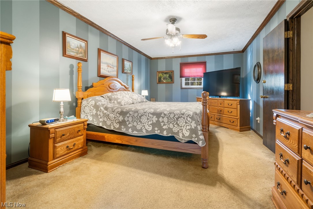 4204 Laubert Road Atwater, OH 44201 - Photo 22 of 35 Huge Master Bedroom with walk in closet and en suite