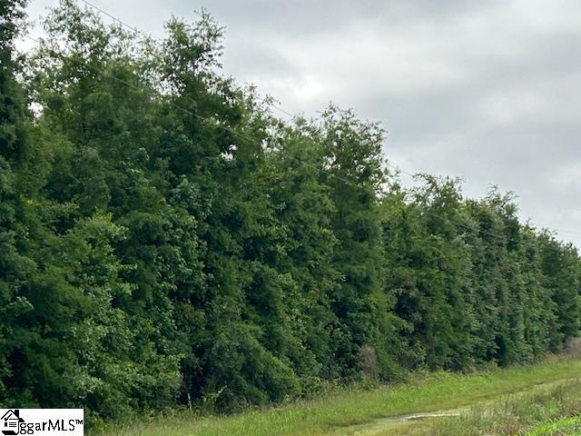 0 Bosmith Road Lamar, SC 29069 - Photo 1 of 1 Gallery Image 1