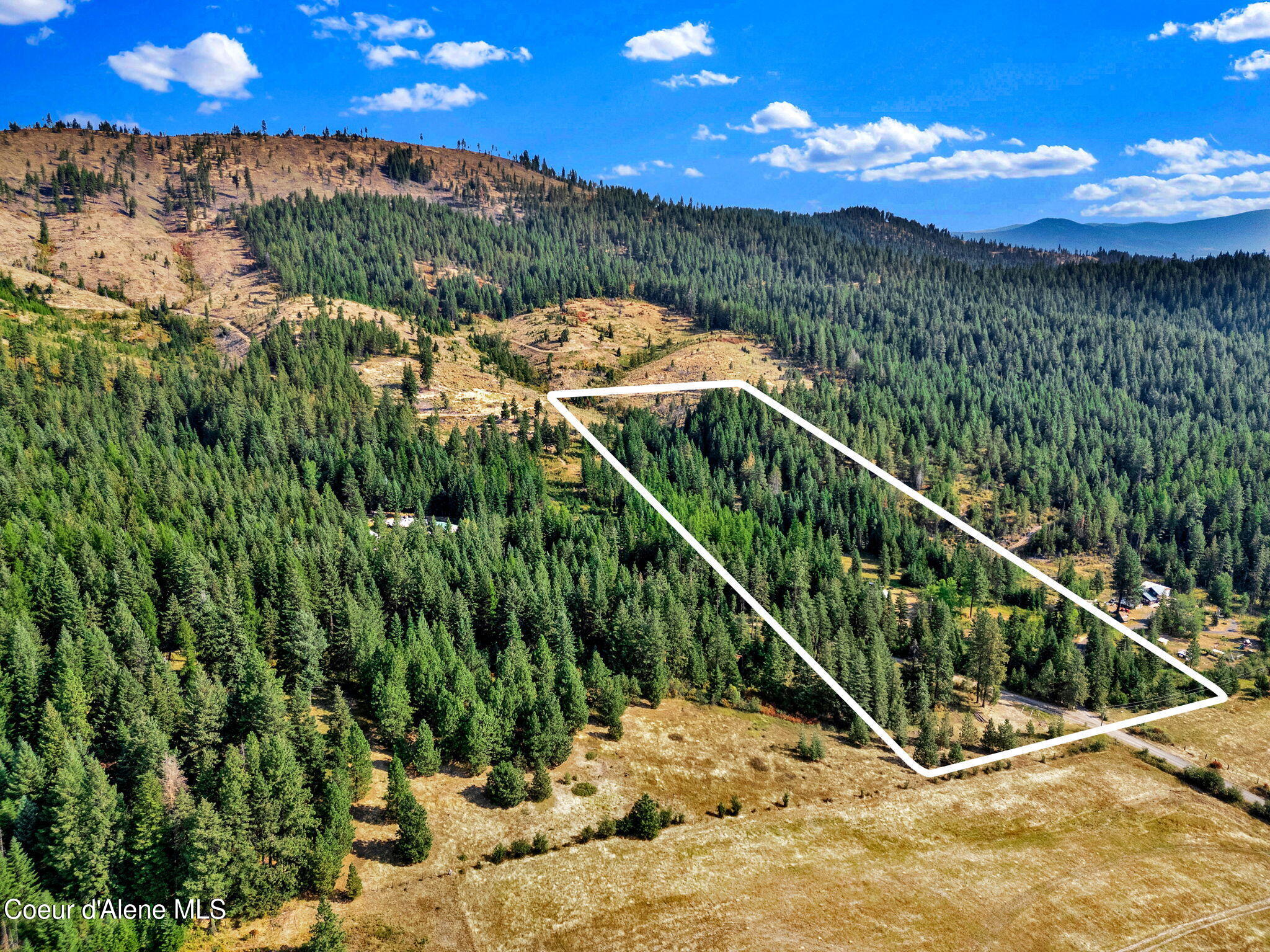 26-web-or-mls-SkyLight - Alexis-06L1