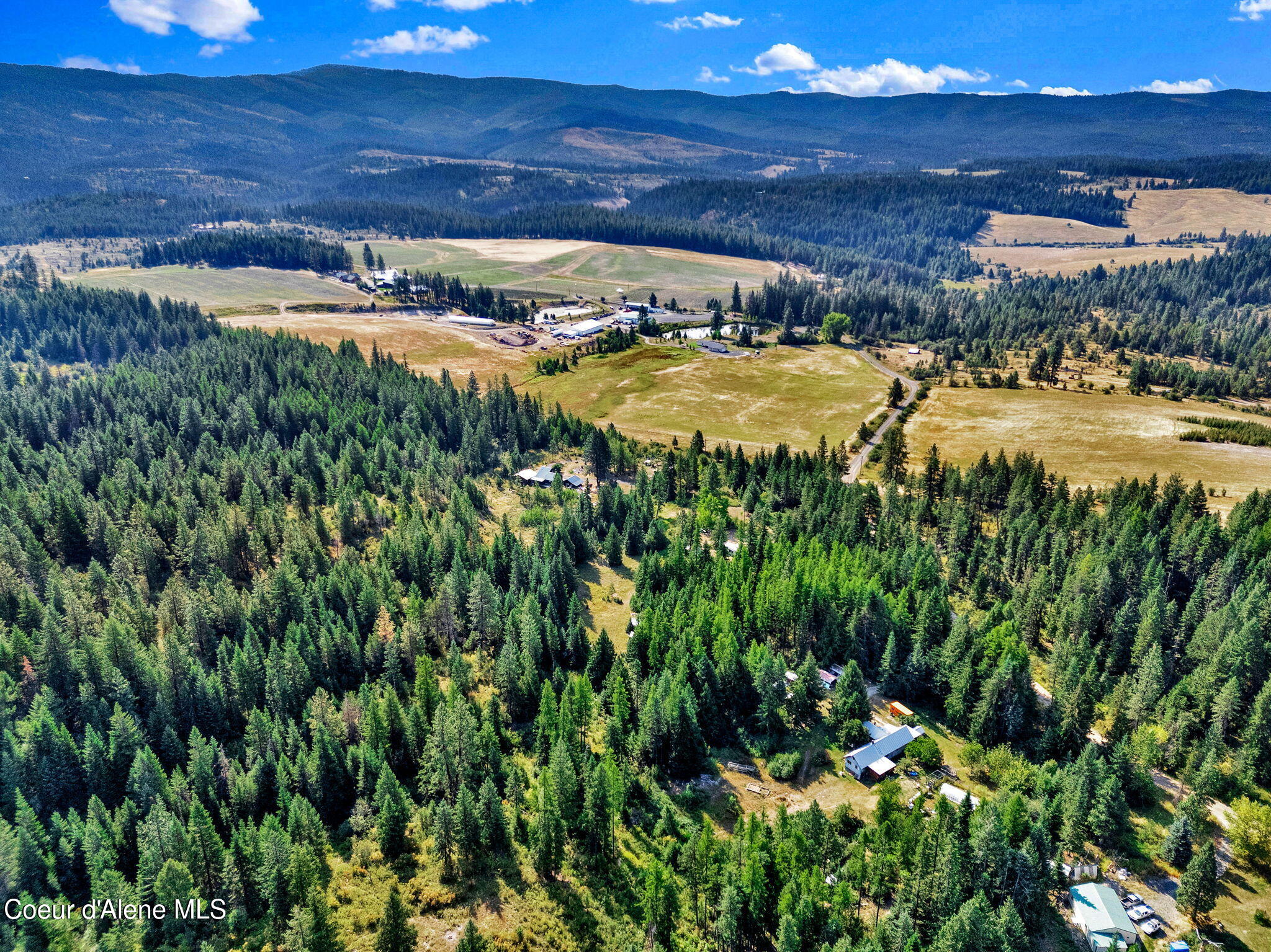 1015 North Fork Coon Creek Road St. Maries, ID 83861 - Photo 2 of 10 28-web-or-mls-SkyLight - Alexis-07