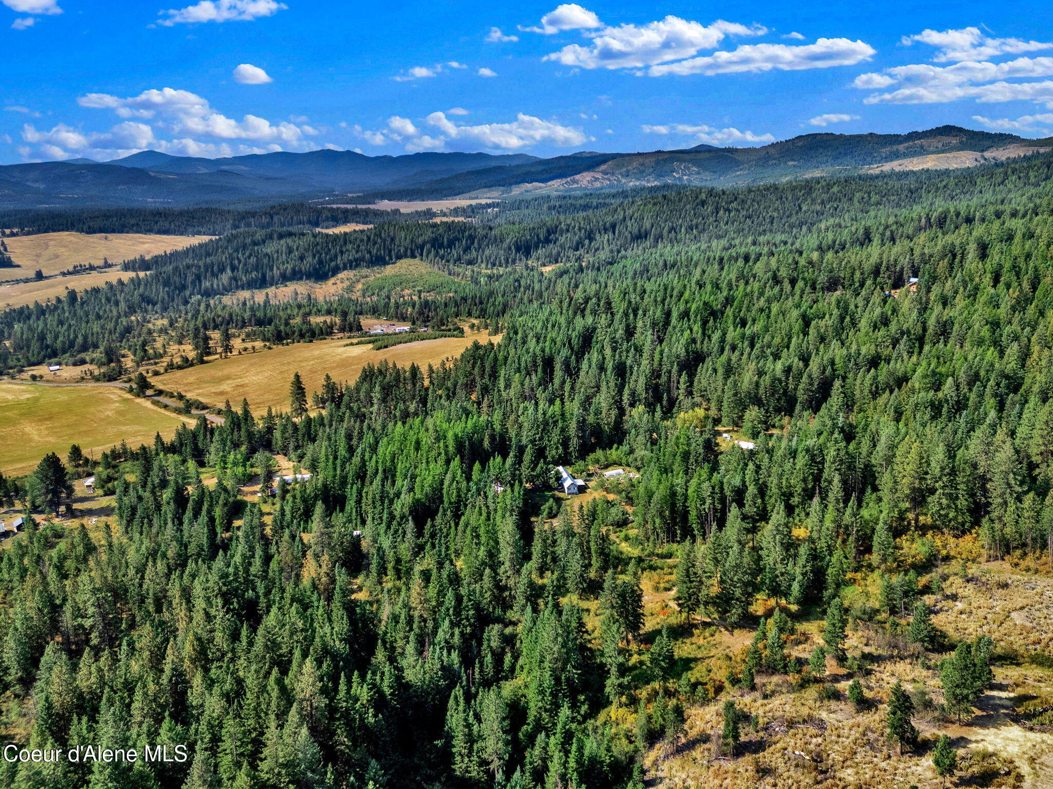 1015 North Fork Coon Creek Road St. Maries, ID 83861 - Photo 3 of 10 31-web-or-mls-SkyLight - Alexis-10