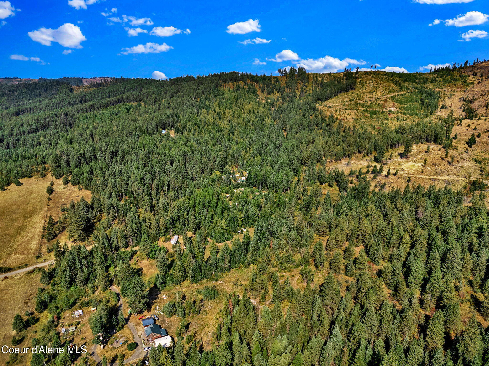 1015 North Fork Coon Creek Road St. Maries, ID 83861 - Photo 4 of 10 32-web-or-mls-SkyLight - Alexis-11