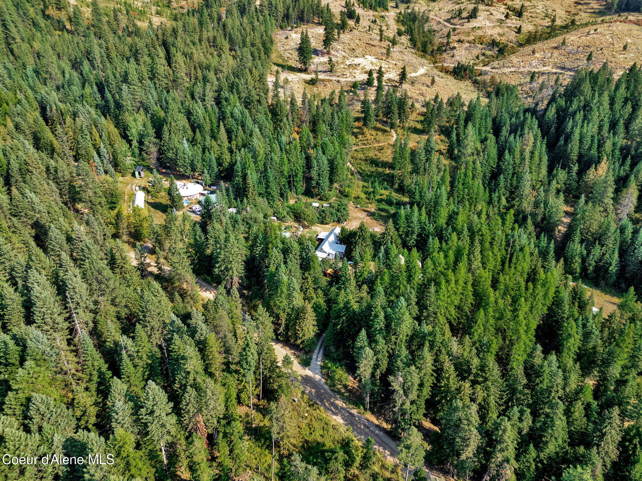 1015 North Fork Coon Creek Road St. Maries, ID 83861 - Photo 8 of 10 24-web-or-mls-SkyLight - Alexis-05