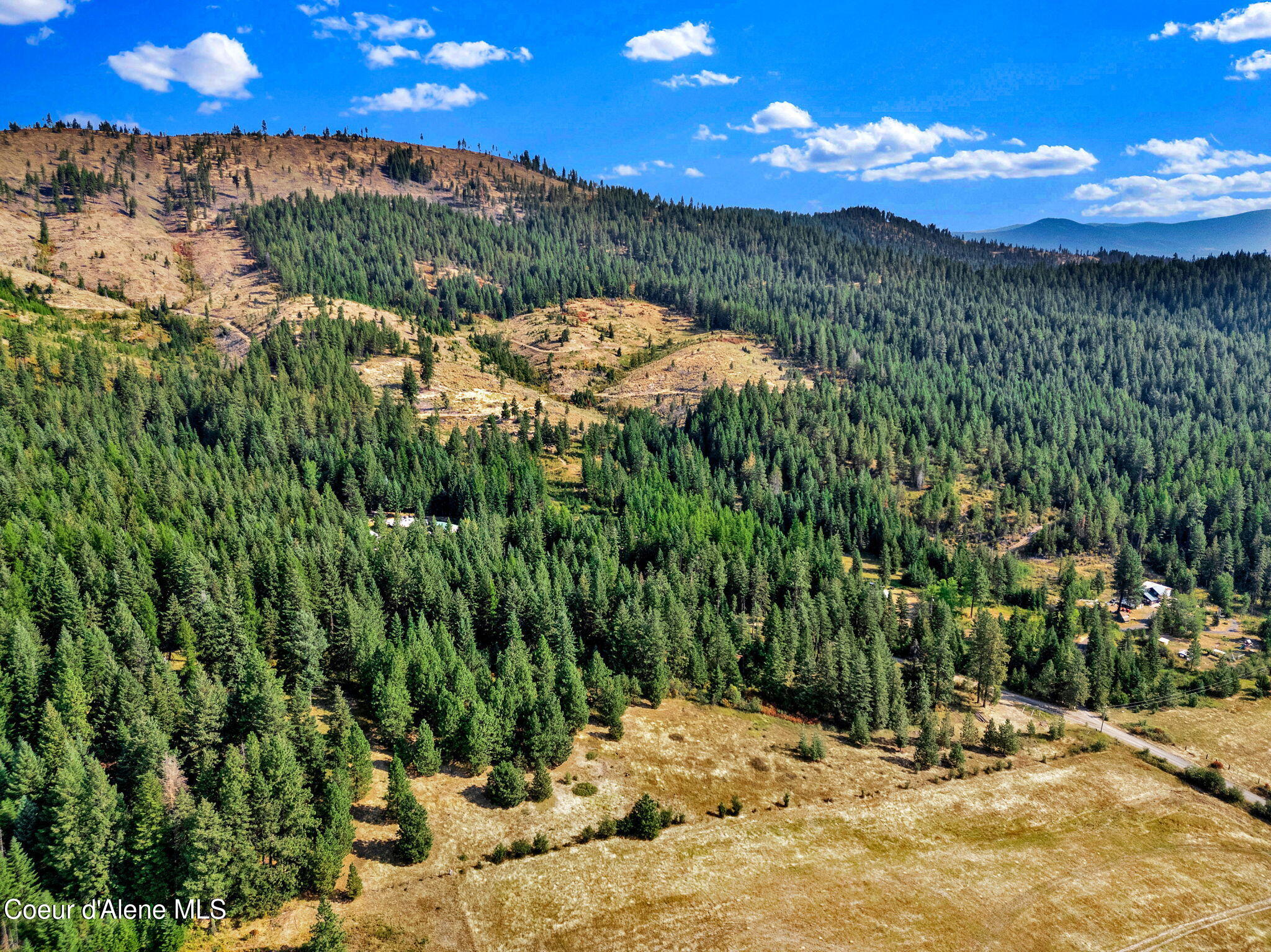 1015 North Fork Coon Creek Road St. Maries, ID 83861 - Photo 9 of 10 25-web-or-mls-SkyLight - Alexis-06