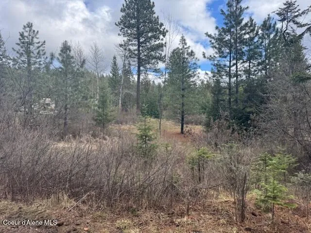 $199,500 | 1015 North Fork Coon Creek Road, St. Maries, ID 83861