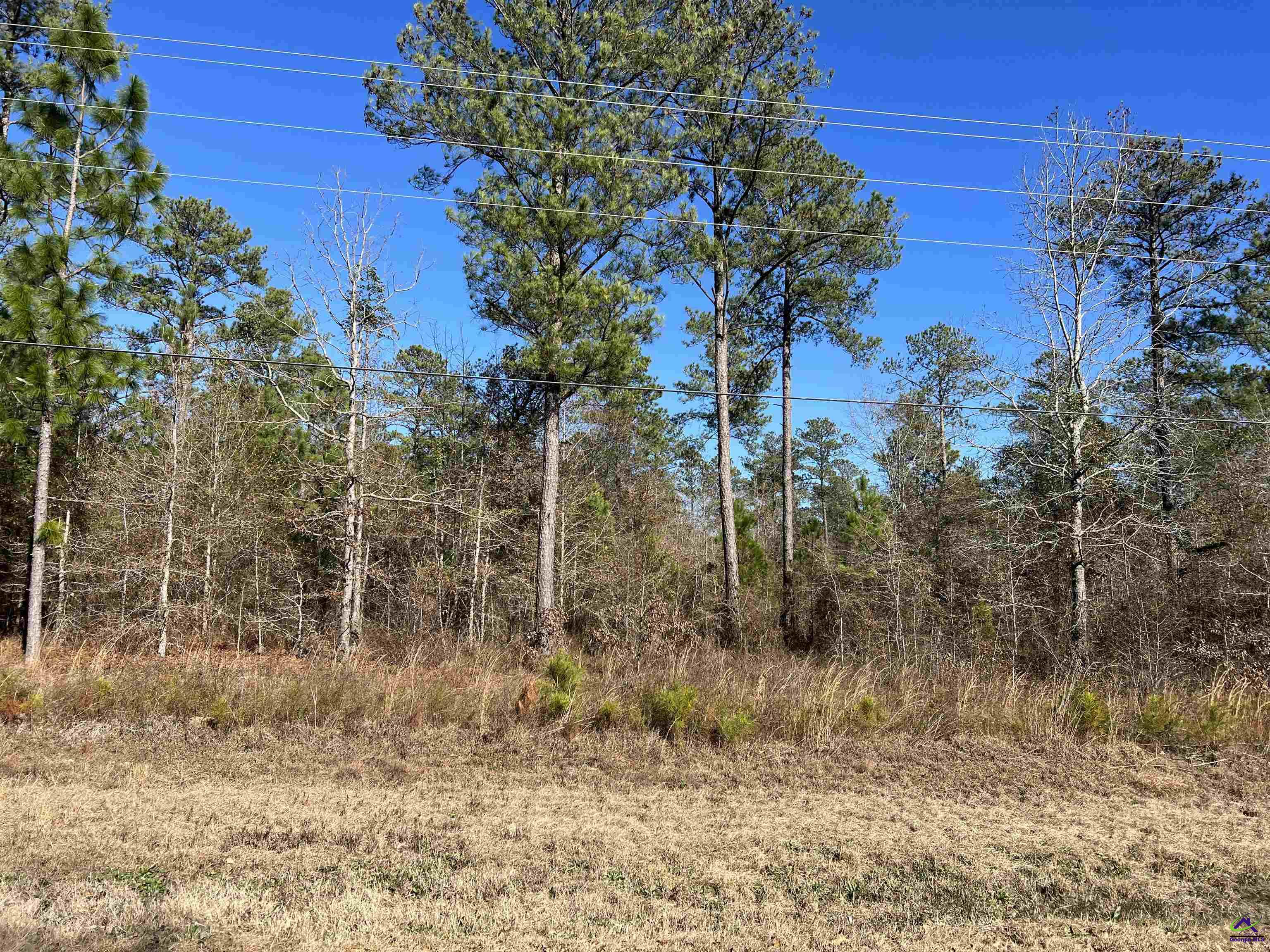 Denny Coley Road Cochran, GA 31014 - Photo 1 of 6