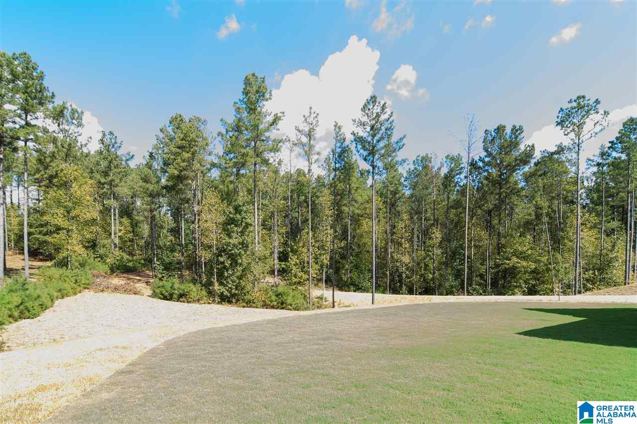 2136 Highway 336 Chelsea Al Chelsea, AL 35043 - Photo 50 of 50