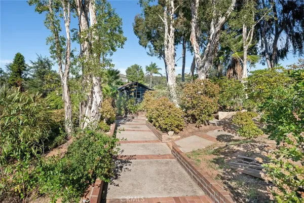a view of a garden with a pathway