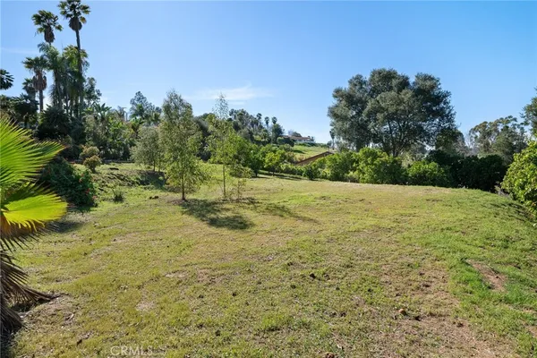 a view of a yard with a tree