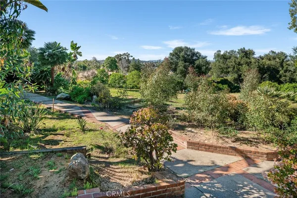 a view of a yard with plants and large trees