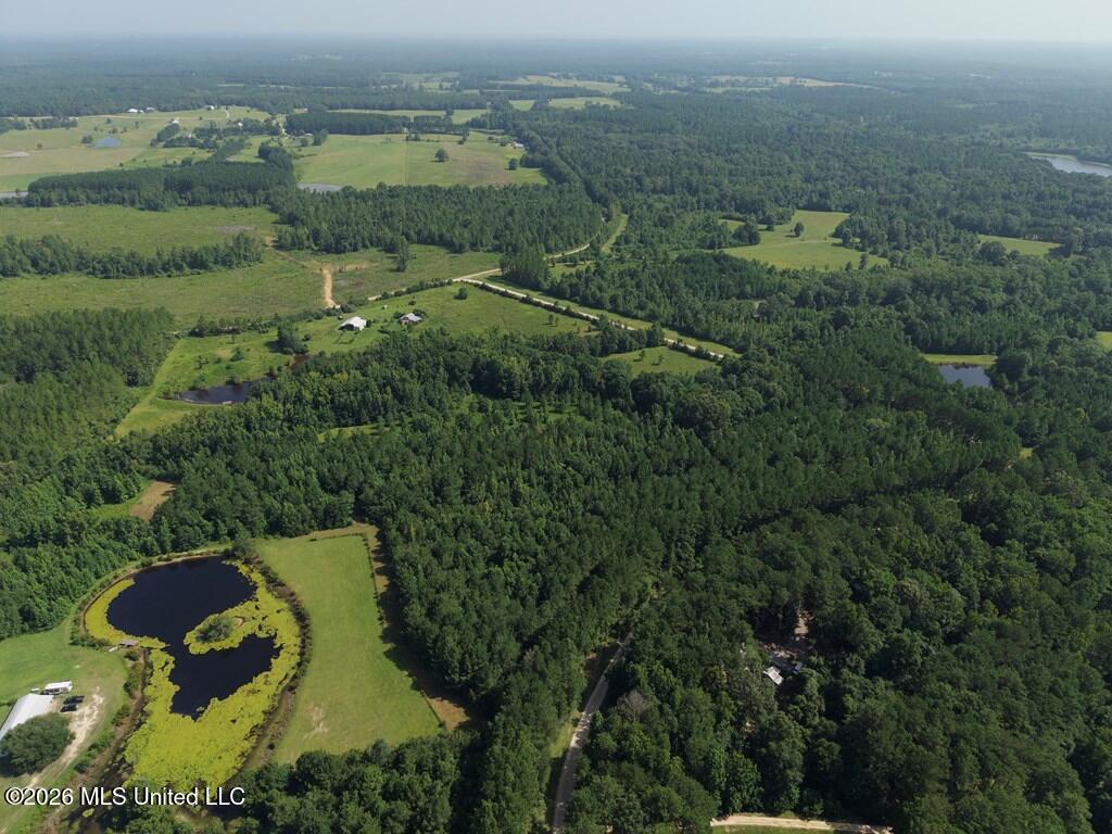 Remington Road Poplarville, MS 39470 - Photo 10 of 13 IMG_1620