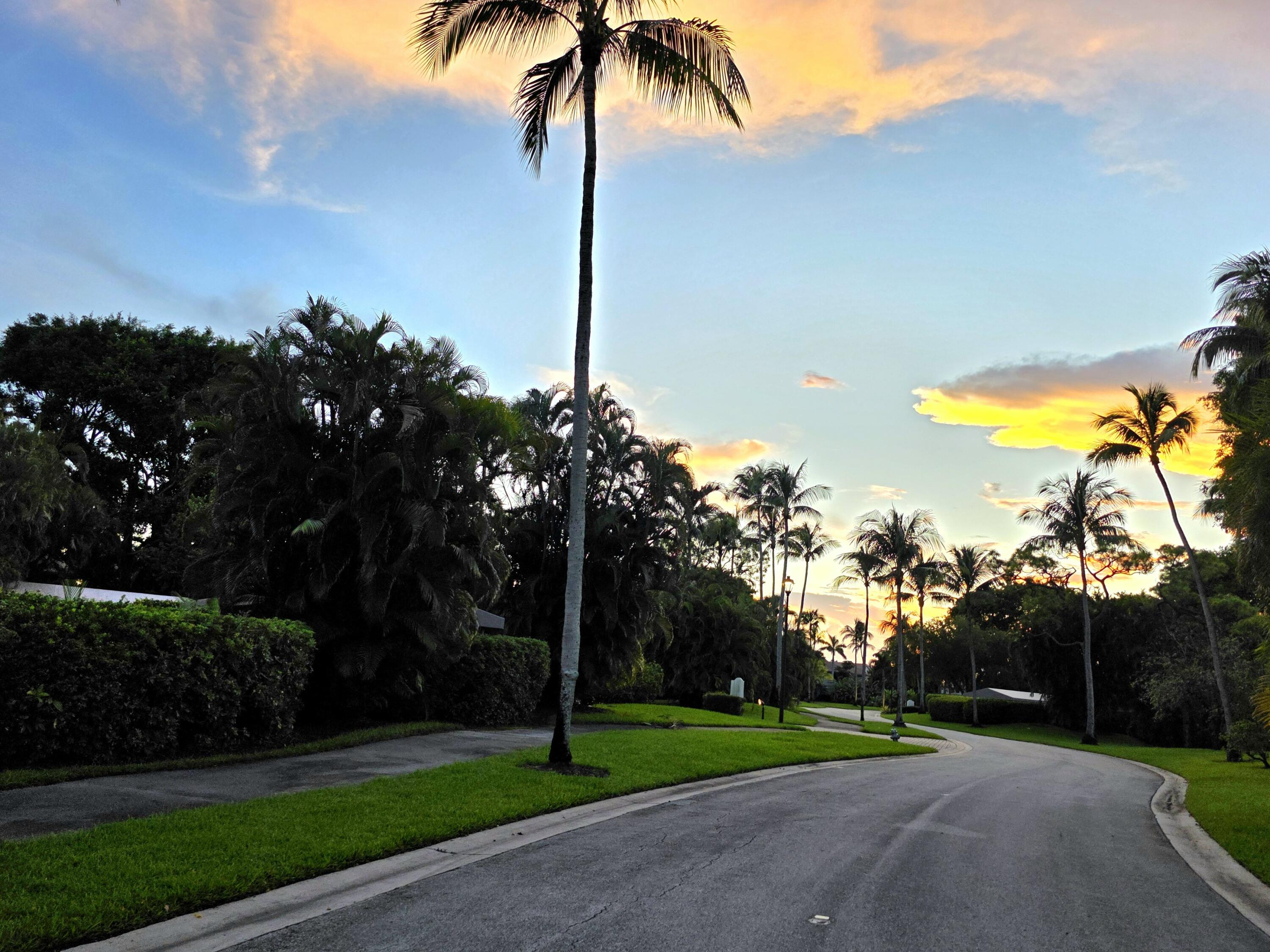 6957 Rain Forest Drive Boca Raton, FL 33434 - Photo 7 of 11 a view of a park with palm trees