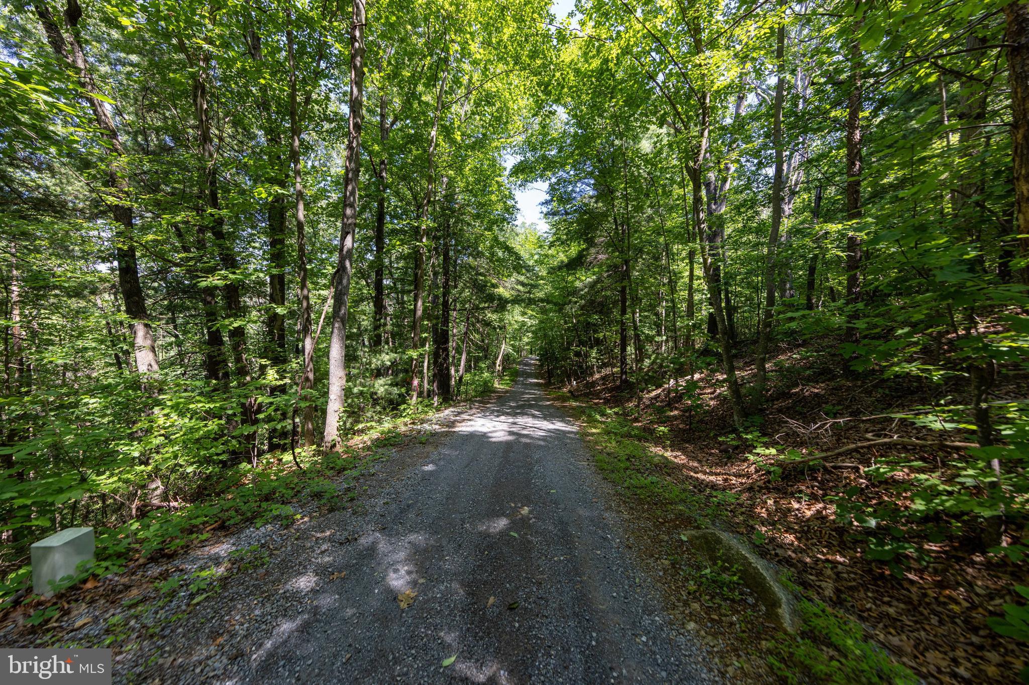 0 Helms Road Stanley, VA 22851 - Photo 23 of 50