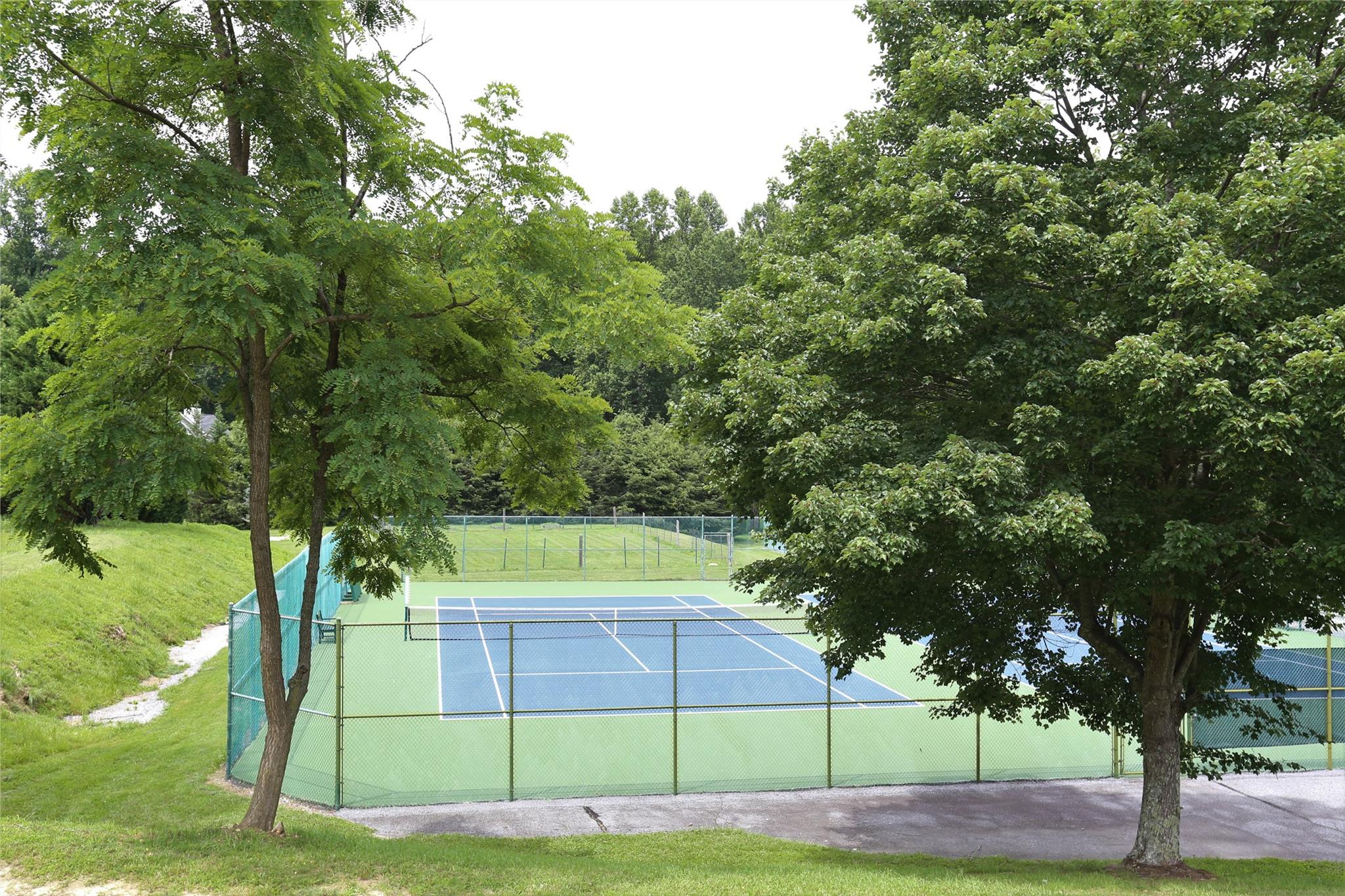 125 Burning Tree Lane Flat Rock, NC 28731 - Photo 14 of 15 a view of a park
