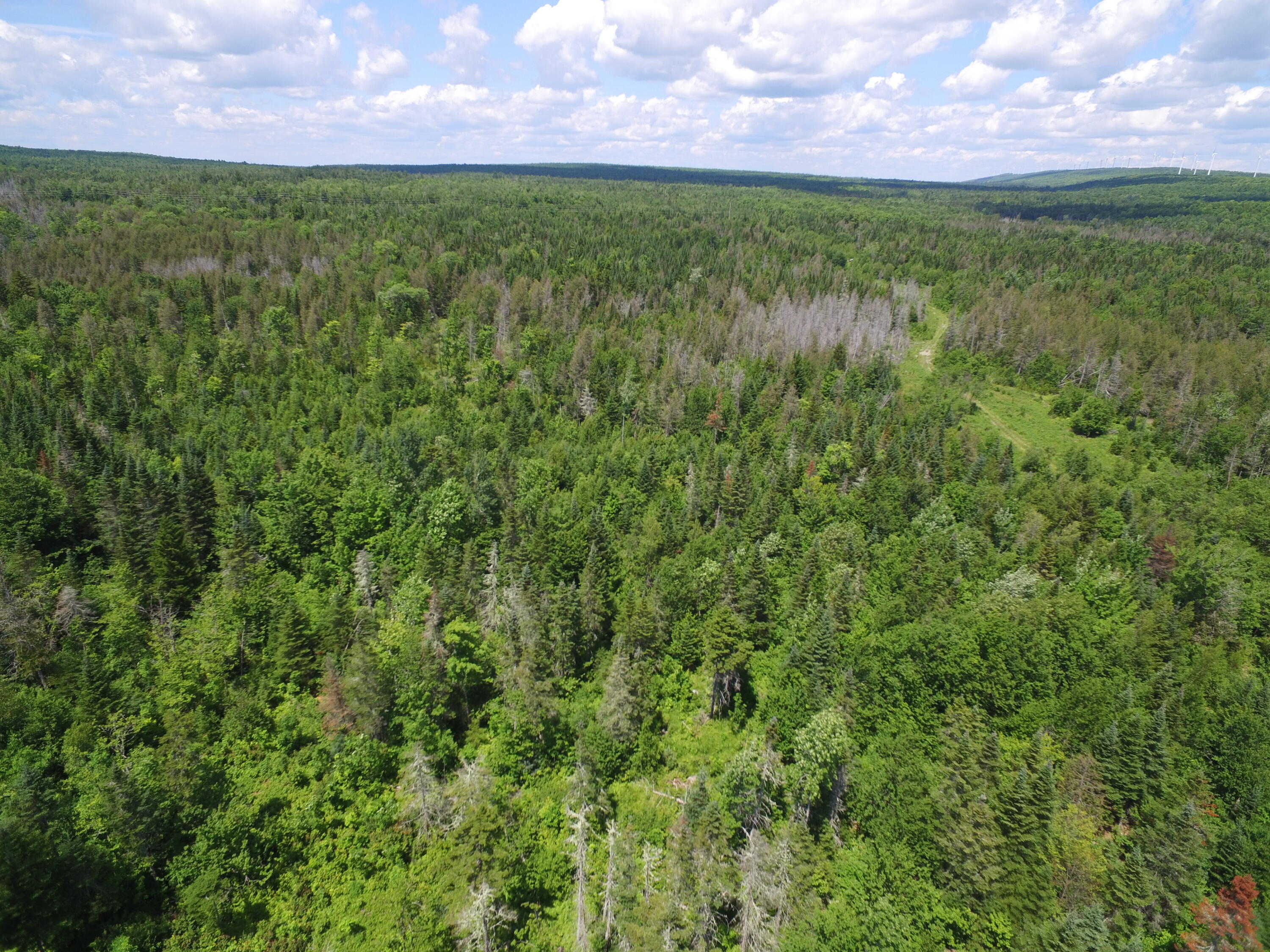 Off Tar Ridge Road Carroll Plt, ME 04487 - Photo 8 of 21 DJI_0511