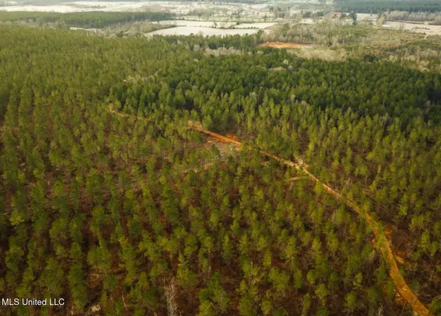 $1,399,500 | 0 Southwest Arlington Drive, Bogue Chitto, MS 39629