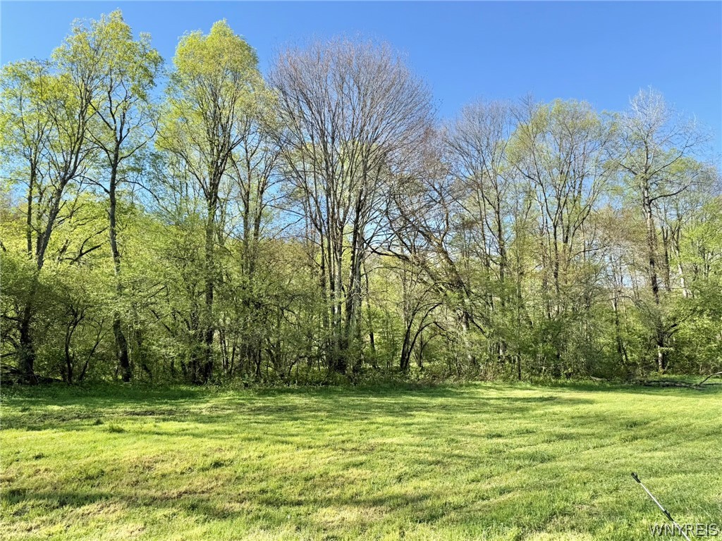 3137 Bear Creek Road Machias, NY 14737 - Photo 14 of 50