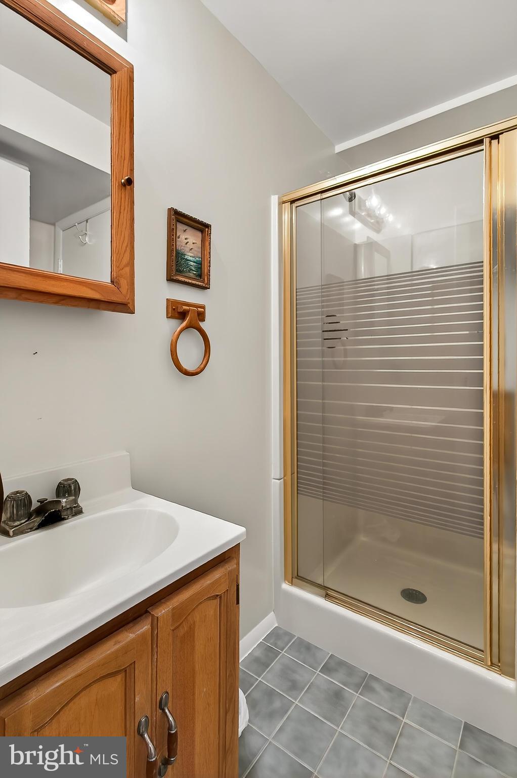 8353 Bark Tree Court Springfield, VA 22153 - Photo 24 of 32 Lower Level Full Bath
