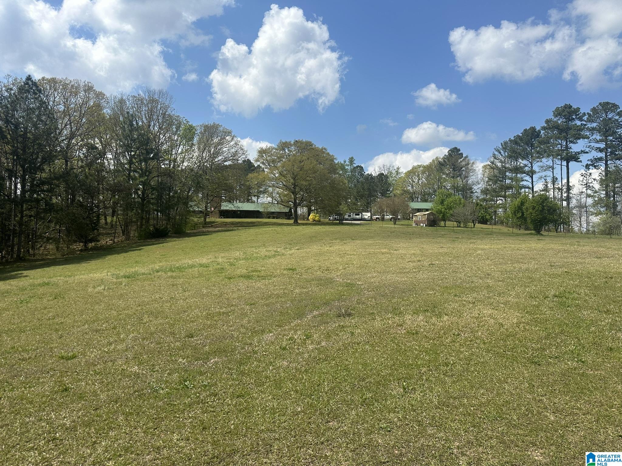 75 Mary Lee Lane Alpine, AL 35014 - Photo 17 of 77