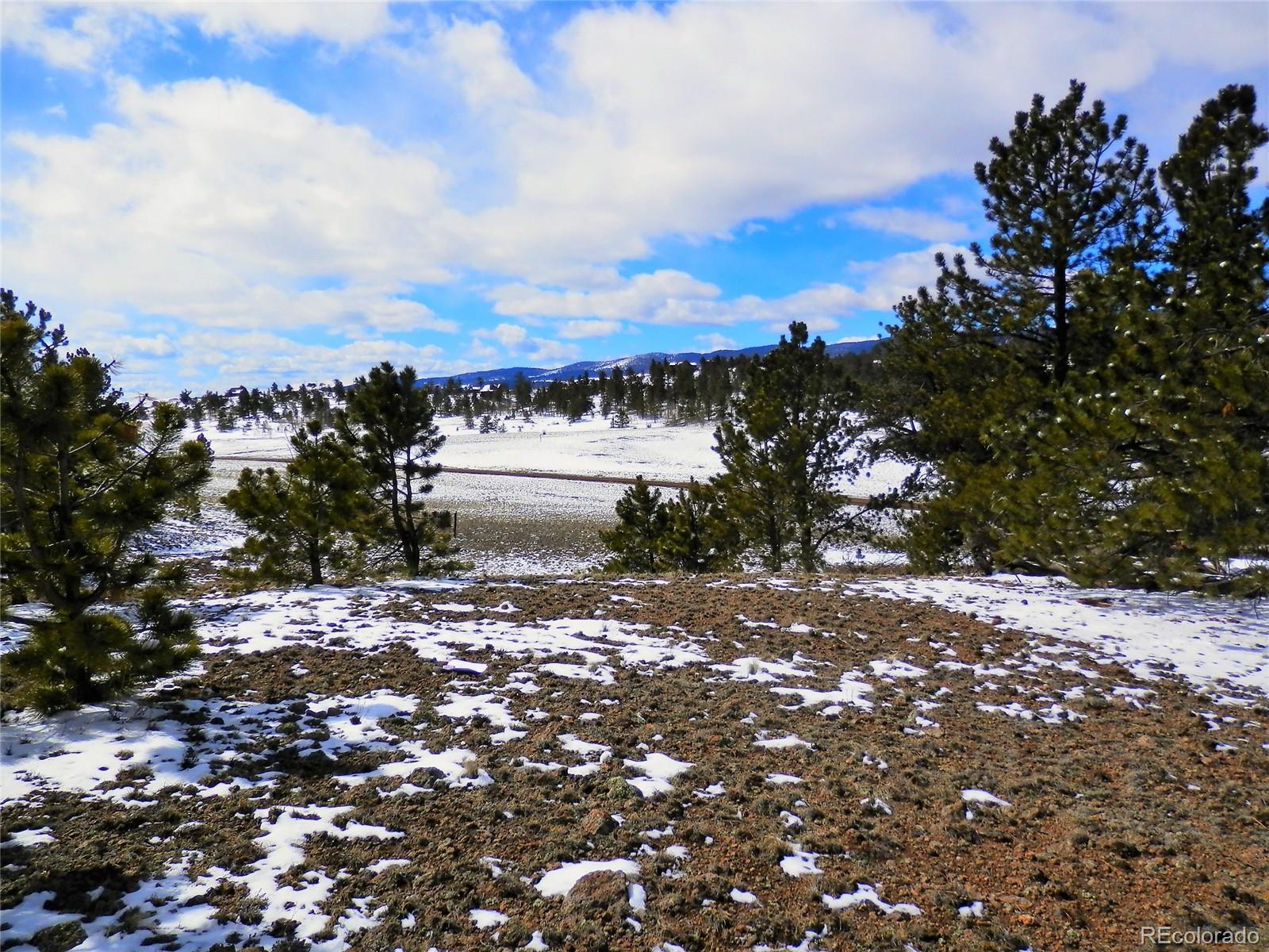 58 Saddle Horn Road Hartsel, CO 80449 - Photo 3 of 17 Gallery Image 3