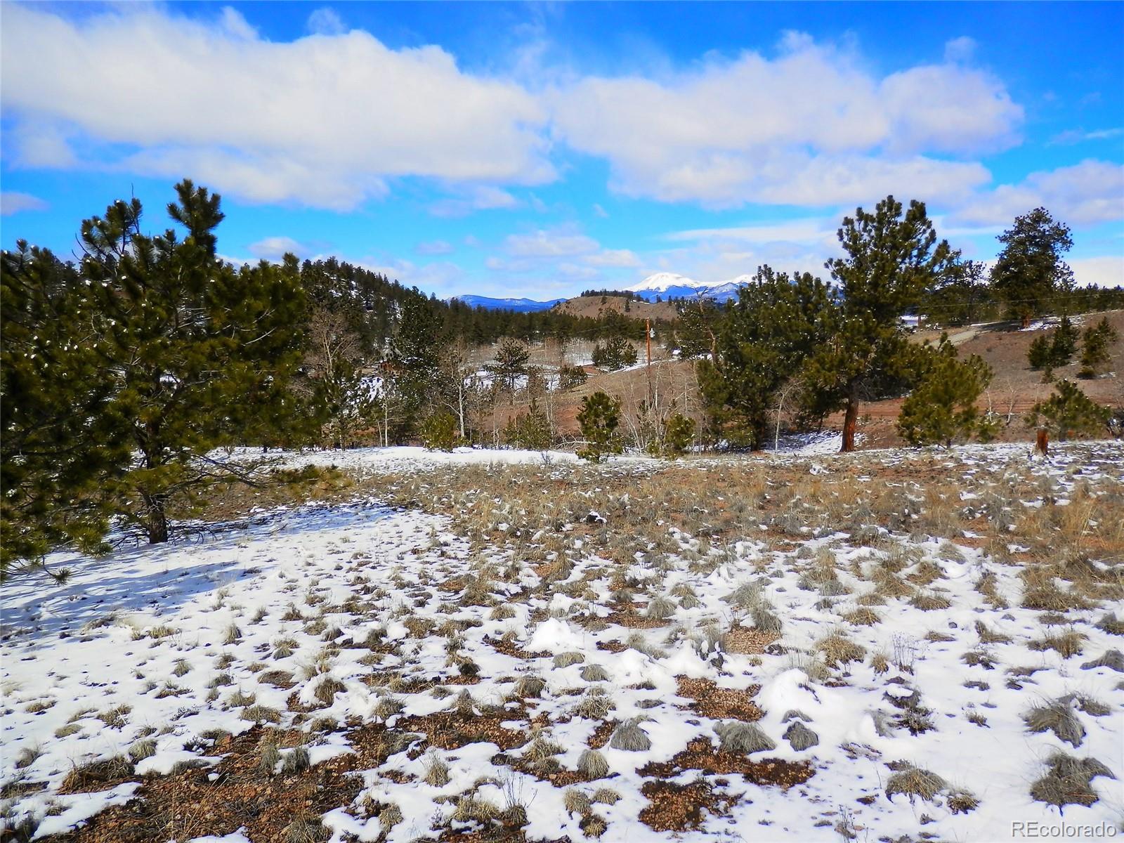 58 Saddle Horn Road Hartsel, CO 80449 - Photo 6 of 17 Gallery Image 6