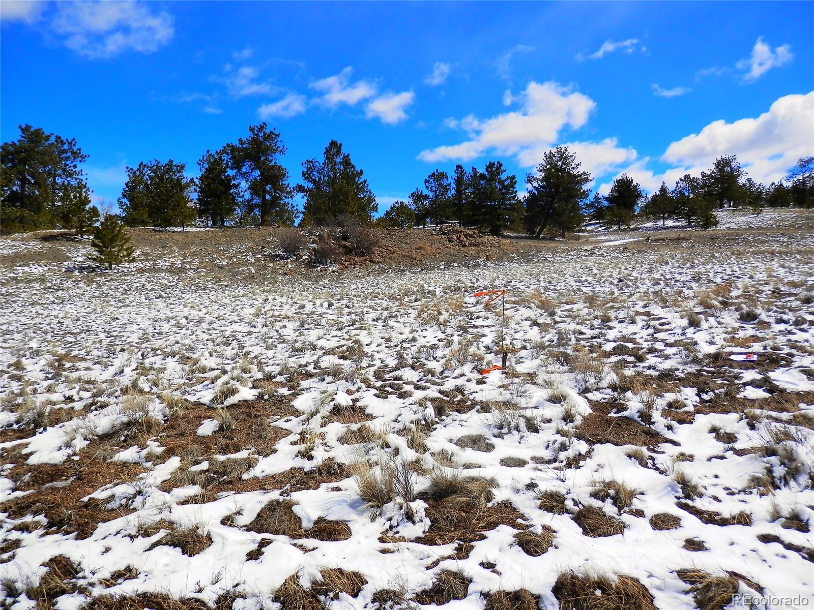 58 Saddle Horn Road Hartsel, CO 80449 - Photo 8 of 17 Gallery Image 8